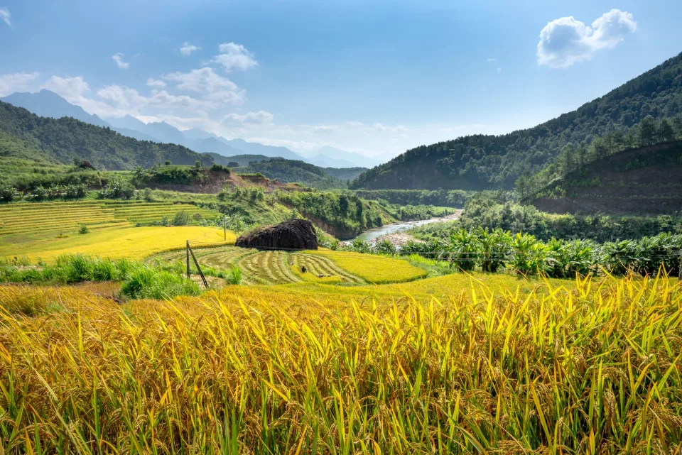 Kho gạo của Đỗ Thị Xuân Thu